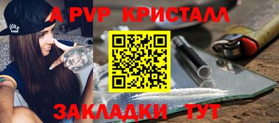 индика Ставрополь
