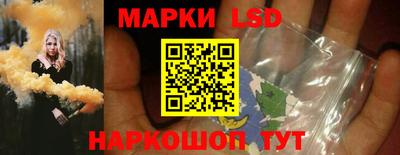 индика Ставрополь