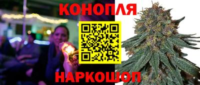 гашик Татарск
